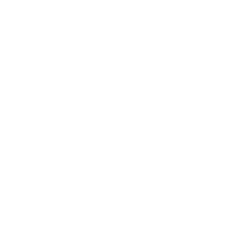 professional branding services